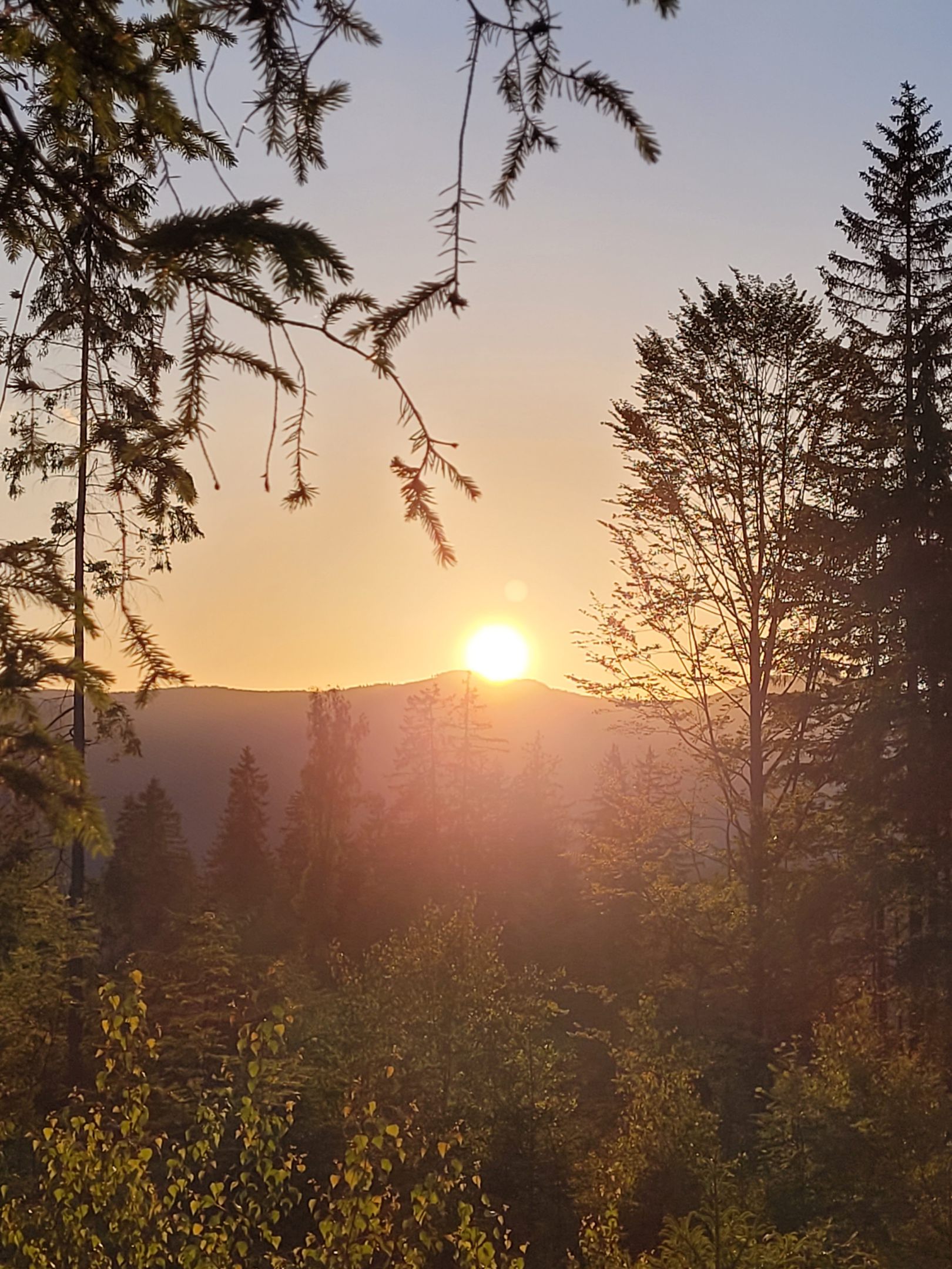 Neue Kurseinheit: Stressreduktion und Entspannung durch (Berg-)Wandern&nbsp;