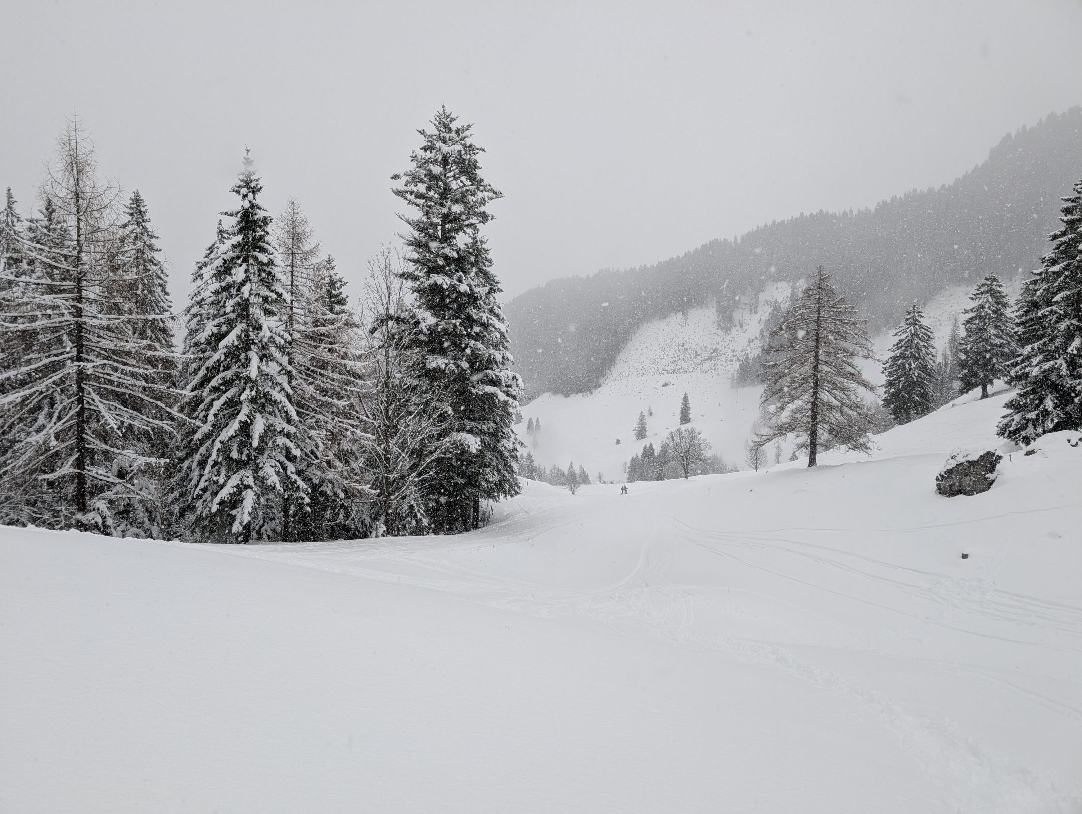 Skitour f&uuml;r Einsteiger auf den Vogelsang